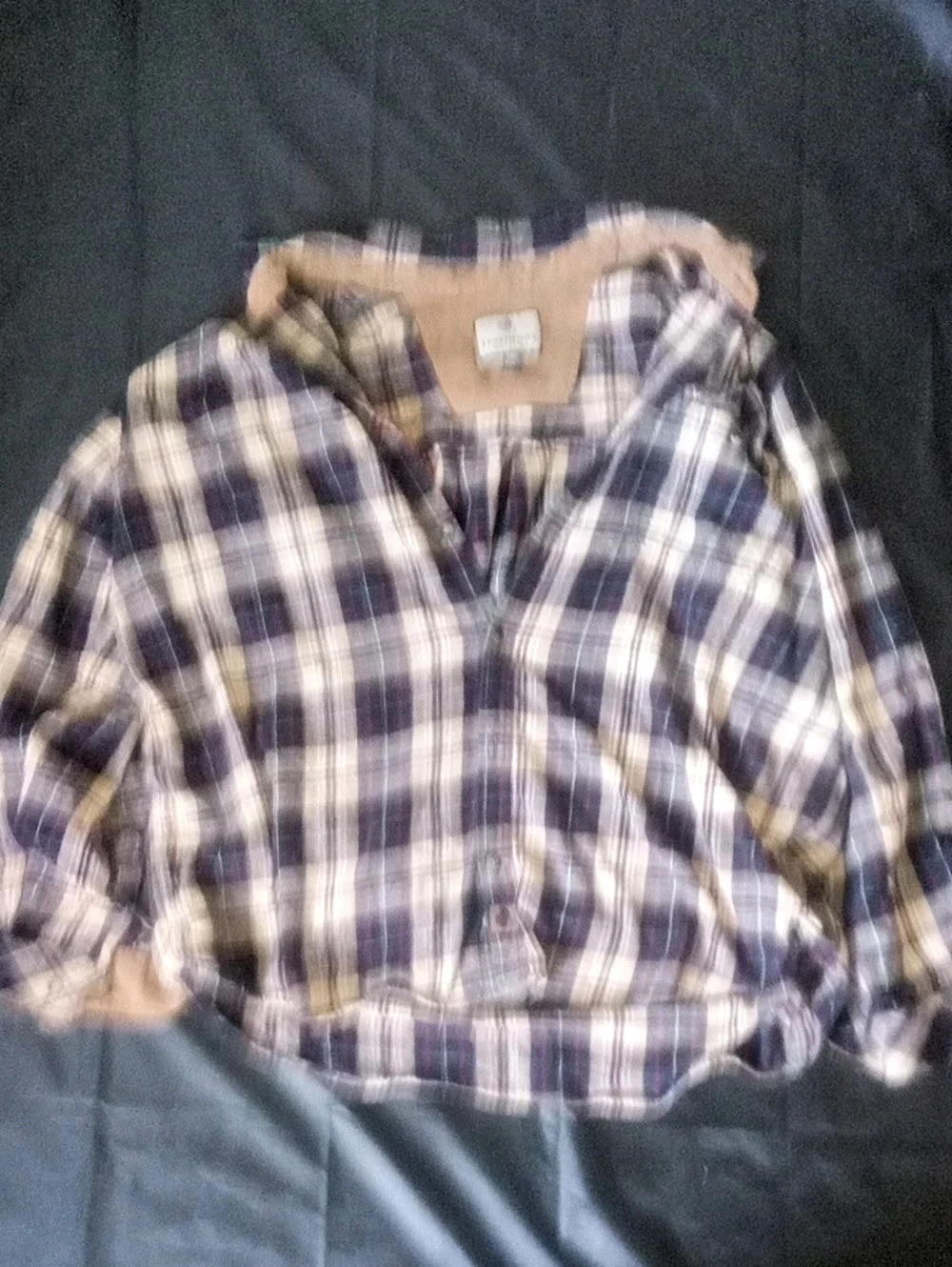 Legendary Whitetails Plaid Button Down in Blue & White